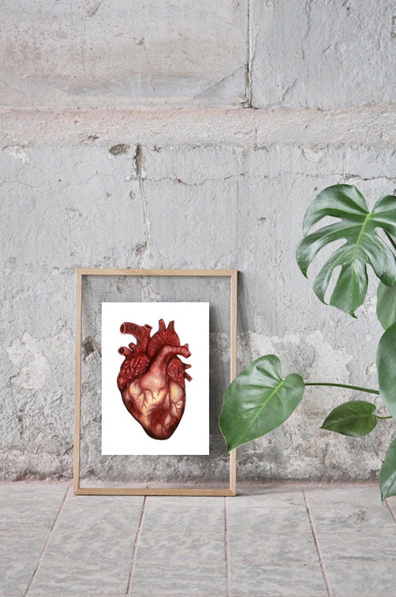 Human Heart Anatomy Print: Anatomical Poster, Watercolor Art, Unique Doctor Gift Artwork, Oddity Curiocity Creepy Goth image 6