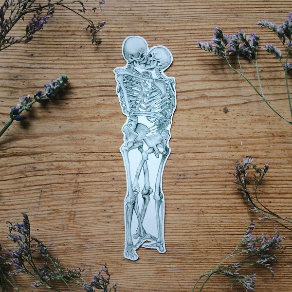 Skeleton Love Sticker: Kiss Anatomy, Valentines Day Gift, 3 sizes White and Transparent Vinyl