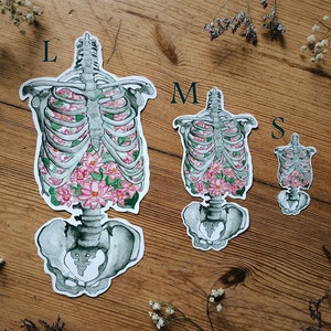 May include: Three anatomical heart ribcage stickers with pink flowers inside. The stickers are labeled with sizes L, M, and S.