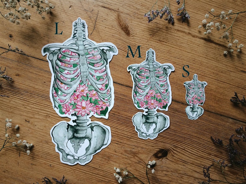 Custom Anatomy Sticker Set: Human Animal Anatomical Skeleton, Medical Doctor Science Biology Halloween Gift image 5