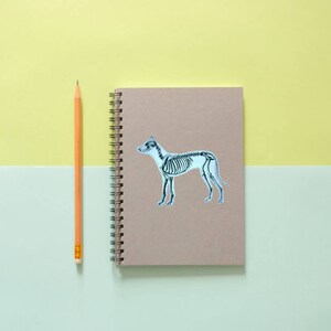 May include: A tan spiral-bound notebook with a dog skeleton sticker on the cover, next to a yellow pencil. The background is divided into two sections, with a light yellow top and a light green bottom.