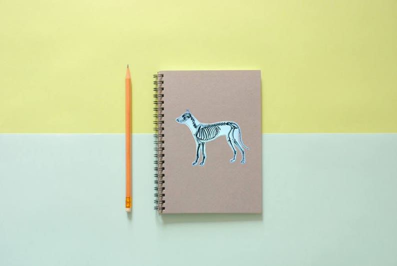 May include: A tan spiral-bound notebook with a dog skeleton sticker on the cover, next to a yellow pencil. The background is divided into two sections, with a light yellow top and a light green bottom.