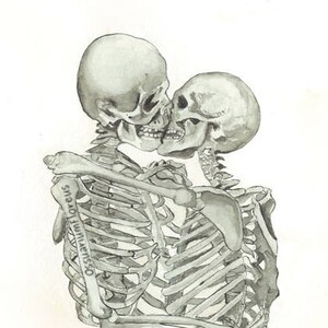 Skeleton Kiss Watercolor Print: Anatomical Love Art image 5