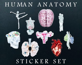 Human Anatomy Sticker Set: Pack of 10 Stickers + FREE GIFT