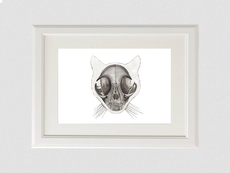 Cat Skull Print: Animal Skeleton, Anatomical Wall Art, Veterinarian Poster image 1