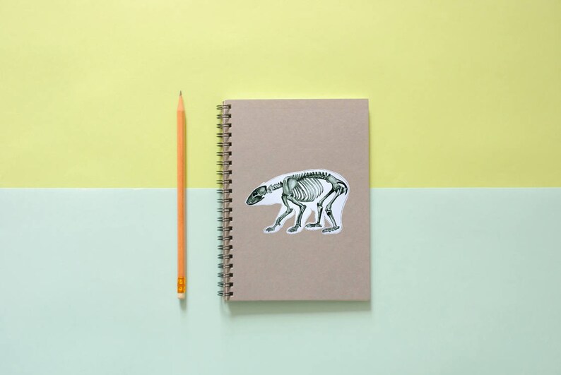 May include: A brown notebook with a spiral binding and a sticker of a bear skeleton on the front. A yellow pencil is lying next to the notebook on a light blue and yellow surface.