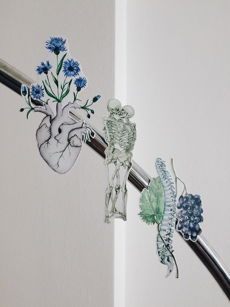 Op de afbeelding: Vier anatomische illustraties, waaronder een hart met blauwe bloemen die eruit groeien, een skeletpaar dat elkaar vasthoudt, een wervelkolom met een groen blad en een tros druiven.