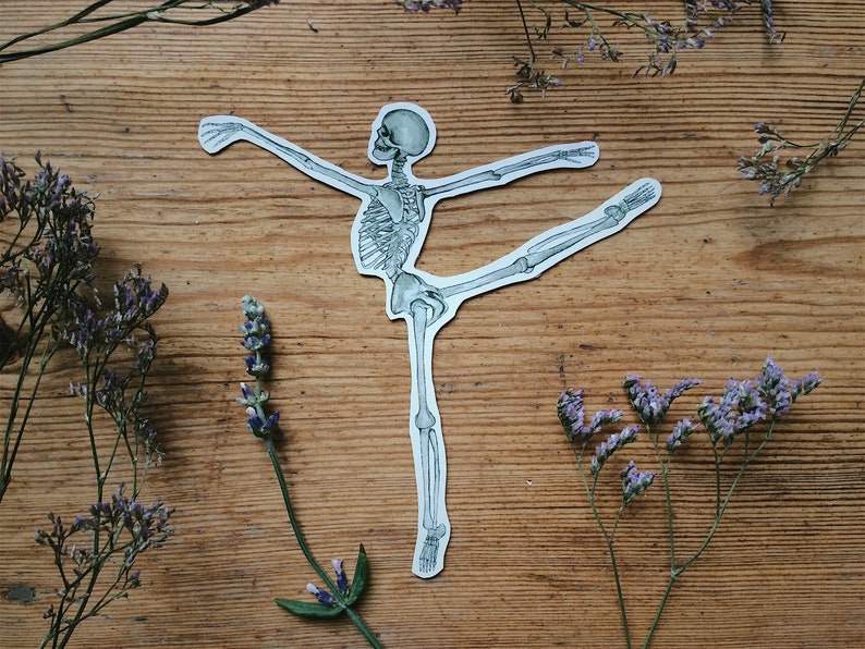 May include: A grayscale illustration of a human skeleton in a ballet pose, with one leg extended and arms outstretched. The image is set against a wooden background, with sprigs of purple flowers on either side.