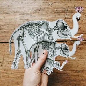 May include: Three paper cutouts of elephant skeletons, each smaller than the last, with pink flowers on their trunks. The largest elephant is facing right, the middle elephant is facing left, and the smallest elephant is facing right.