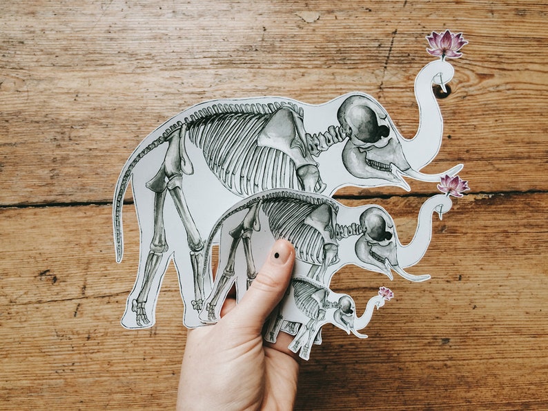 May include: Three paper cutouts of elephant skeletons, each smaller than the last, with pink flowers on their trunks. The largest elephant is facing right, the middle elephant is facing left, and the smallest elephant is facing right.