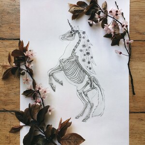 K&ouml;nnte beinhalten: Eine Schwarzwei&szlig;zeichnung eines Einhorn-Skeletts mit einem floralen Kranz. Die Zeichnung ist auf wei&szlig;em Papier und von einem Zweig mit rosa Bl&uuml;ten umgeben.