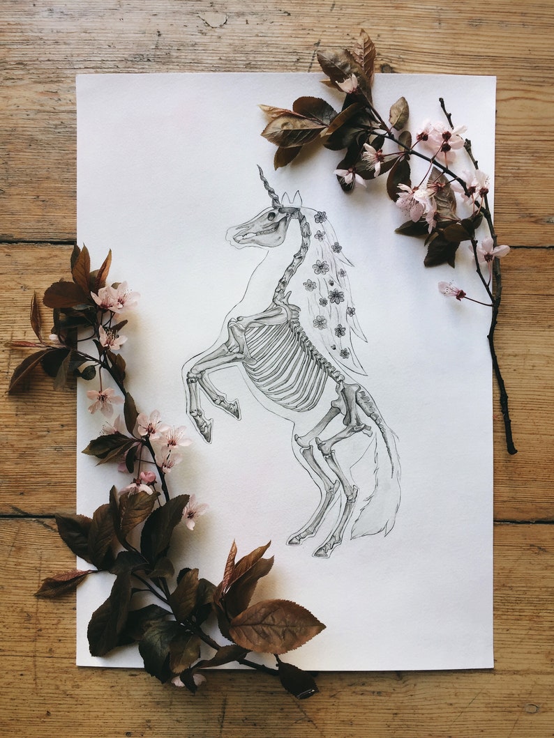 K&ouml;nnte beinhalten: Eine Schwarzwei&szlig;zeichnung eines Einhorn-Skeletts mit einem floralen Kranz. Die Zeichnung ist auf wei&szlig;em Papier und von einem Zweig mit rosa Bl&uuml;ten umgeben.