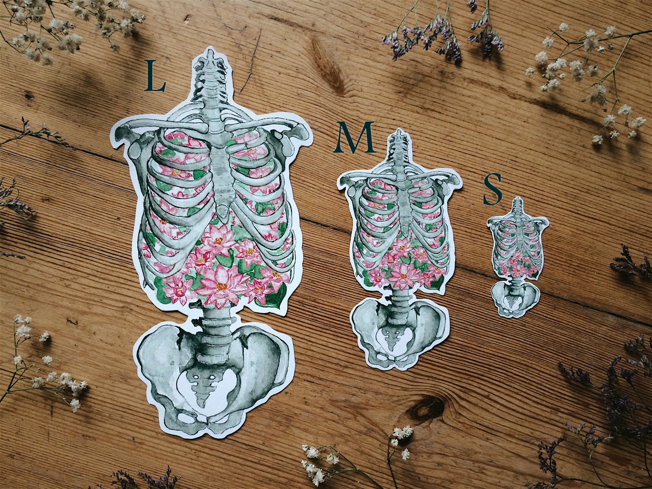 Human Anatomy Sticker Set Pack of 10 Stickers FREE GIFT Etsy Ireland