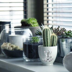 Op de afbeelding: Een witte keramische pot met een zwart-witte illustratie van een skelet van een kikker. De pot is gevuld met een groene cactus en staat op een vensterbank met andere planten.