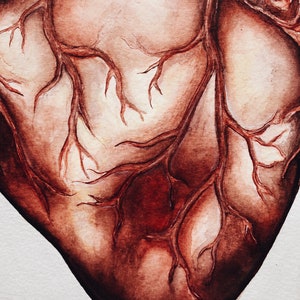 Puede incluir: Una pintura de acuarela de un coraz&oacute;n humano con intrincadas venas y arterias. El coraz&oacute;n est&aacute; pintado en tonos de rojo, marr&oacute;n y blanco.