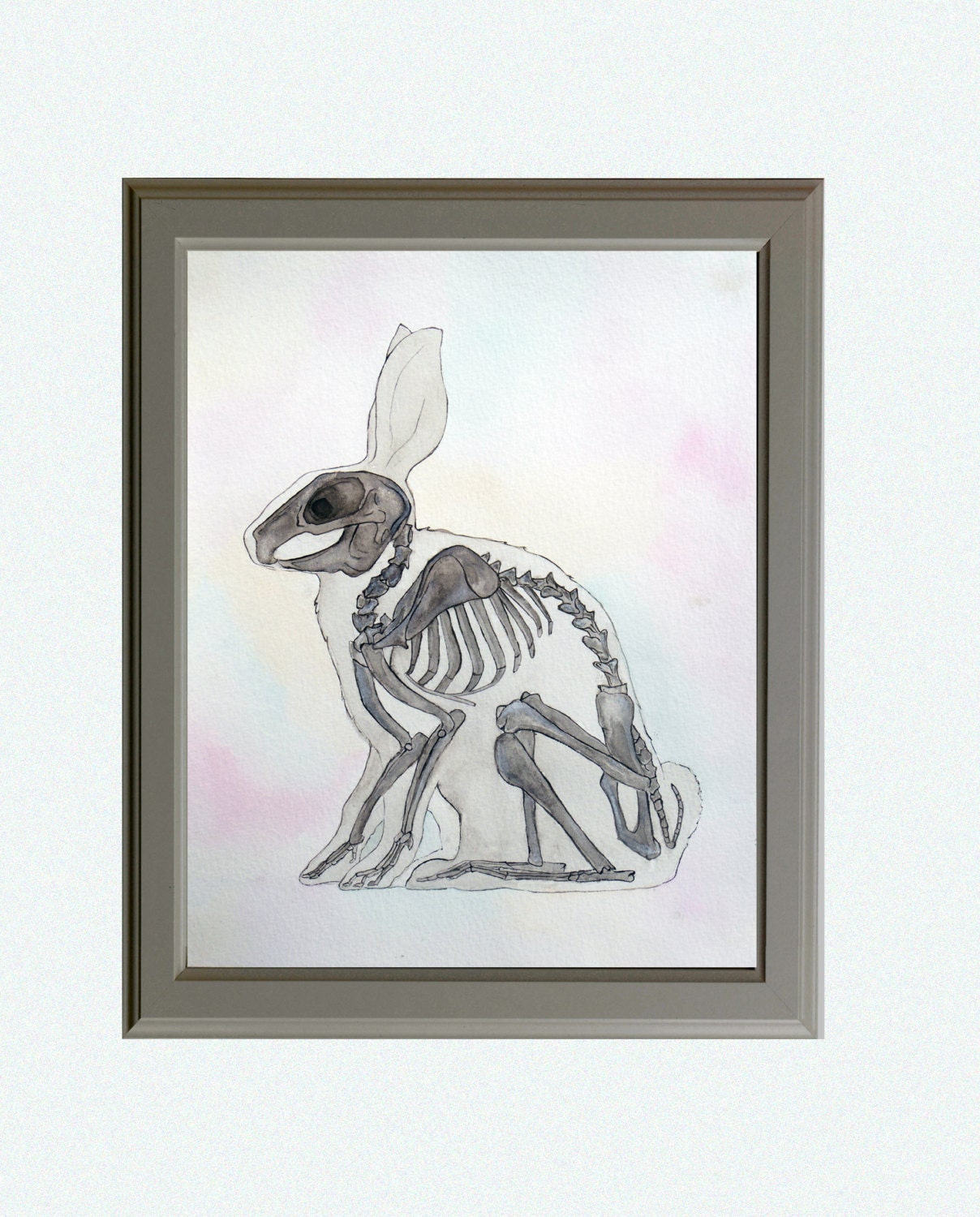Vet Gift | Rabbit Art | Animal Painting | Watercolour | Bunny | Anatomy ...