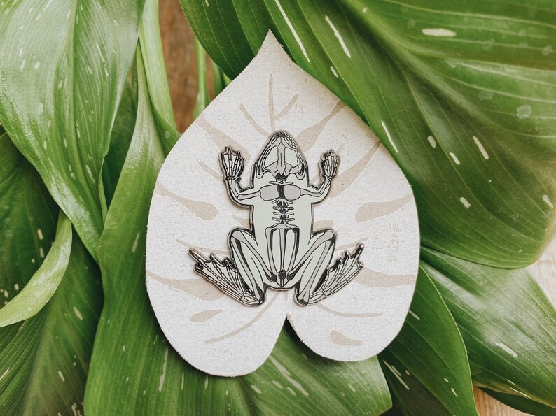 Op de afbeelding: Een witte emaille pin met een gedetailleerd skelet van een kikker. De pin is op een witte, bladvormige achtergrond.
