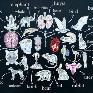 May include: A black background with white outlines of various animals and organs. The animals include a frog, elephant, whale, ballerina, bird, bat, squirrel, fox, flamingo, cat, dog, unicorn, lamb, bear, rat, and rabbit. The organs include lungs, heart, brain, skull, ribs, spine, kiss, and uterus.