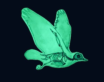 Glowing Bird Skeleton Fridge Magnet: Glowing in the Dark, Dove Pigion Anatomy, Cool Magnet