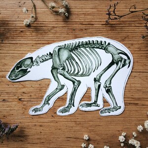 May include: A green and white illustration of a bear skeleton on a wooden background.