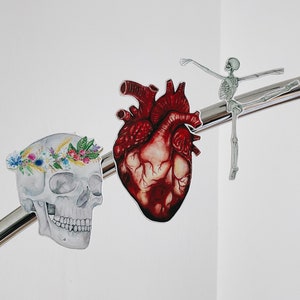 May include: A human heart, a skull with a flower crown, and a skeleton dancing on a silver bar. The anatomical illustrations are in a watercolor style.