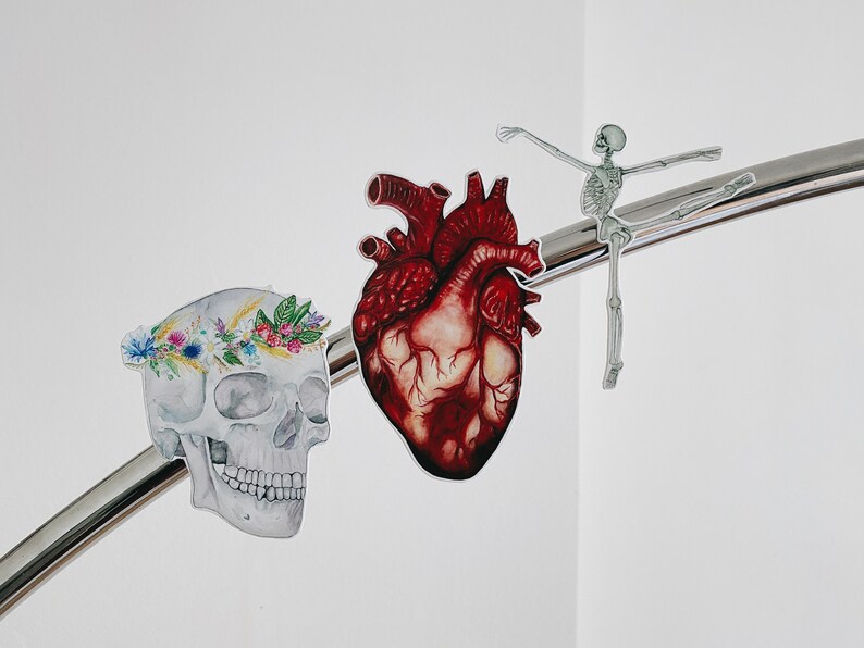 May include: A human heart, a skull with a flower crown, and a skeleton dancing on a silver bar. The anatomical illustrations are in a watercolor style.
