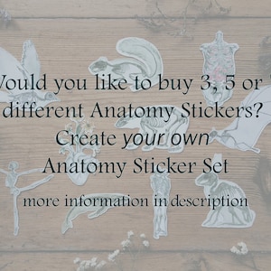 Pode incluir: Um conjunto de adesivos anat&ocirc;micos com v&aacute;rios esqueletos de animais, incluindo um p&aacute;ssaro, um morcego e um coelho. O texto na imagem diz "Would you like to buy 3, 5 or 7 different Anatomy Stickers? Create your own Anatomy Sticker Set more information in description."