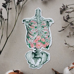Pode incluir: Uma ilustração em aquarela de uma caixa torácica humana com flores cor-de-rosa crescendo dentro. A ilustração está sobre um fundo branco.