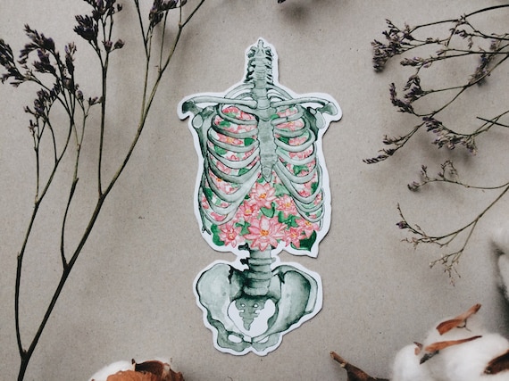 Rib Cage Anatomy Sticker: Pink Flower Gift, Human Skeleton, White or Transparent Vinyl