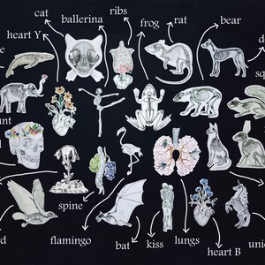 May include: A black and white illustration of various animal skeletons, including a whale, cat, frog, rat, bear, dog, squirrel, elephant, skull, rabbit, lamb, bird, flamingo, bat, and unicorn. The illustration also includes anatomical parts like ribs, heart, spine, lungs, and kiss.