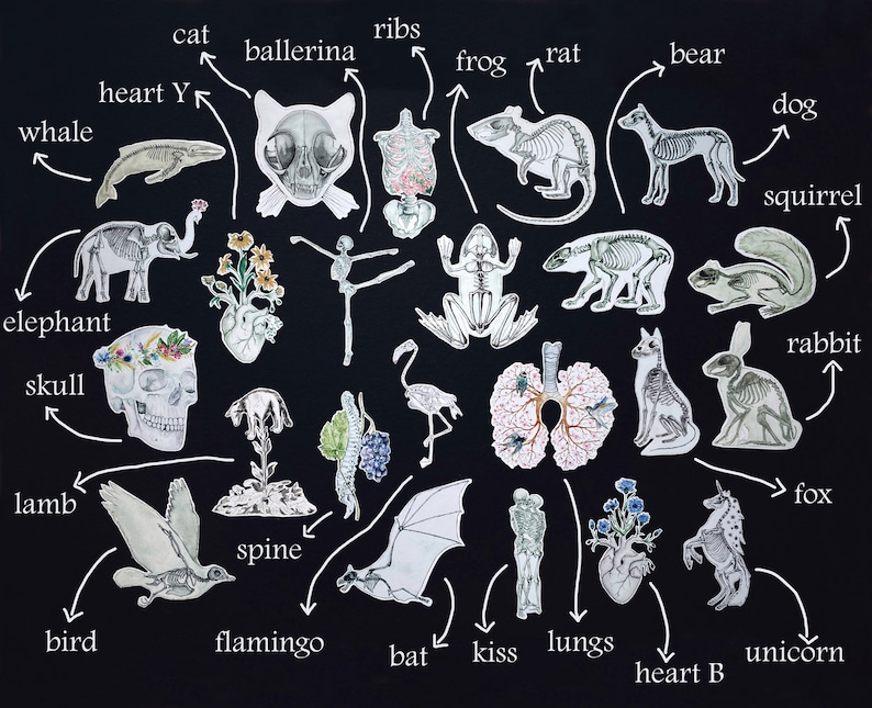 May include: A black and white illustration of various animal skeletons, including a whale, cat, frog, rat, bear, dog, squirrel, elephant, skull, rabbit, lamb, bird, flamingo, bat, and unicorn. The illustration also includes anatomical parts like ribs, heart, spine, lungs, and kiss.