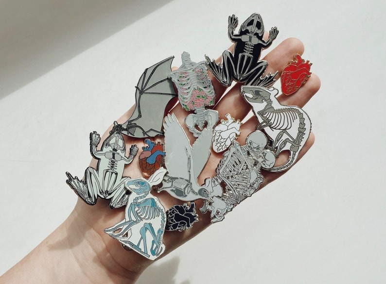 May include: A collection of enamel pins featuring anatomical skeletons of various animals, including a frog, a bat, a rabbit, a bird, and a rat. The pins are silver and white with red accents.