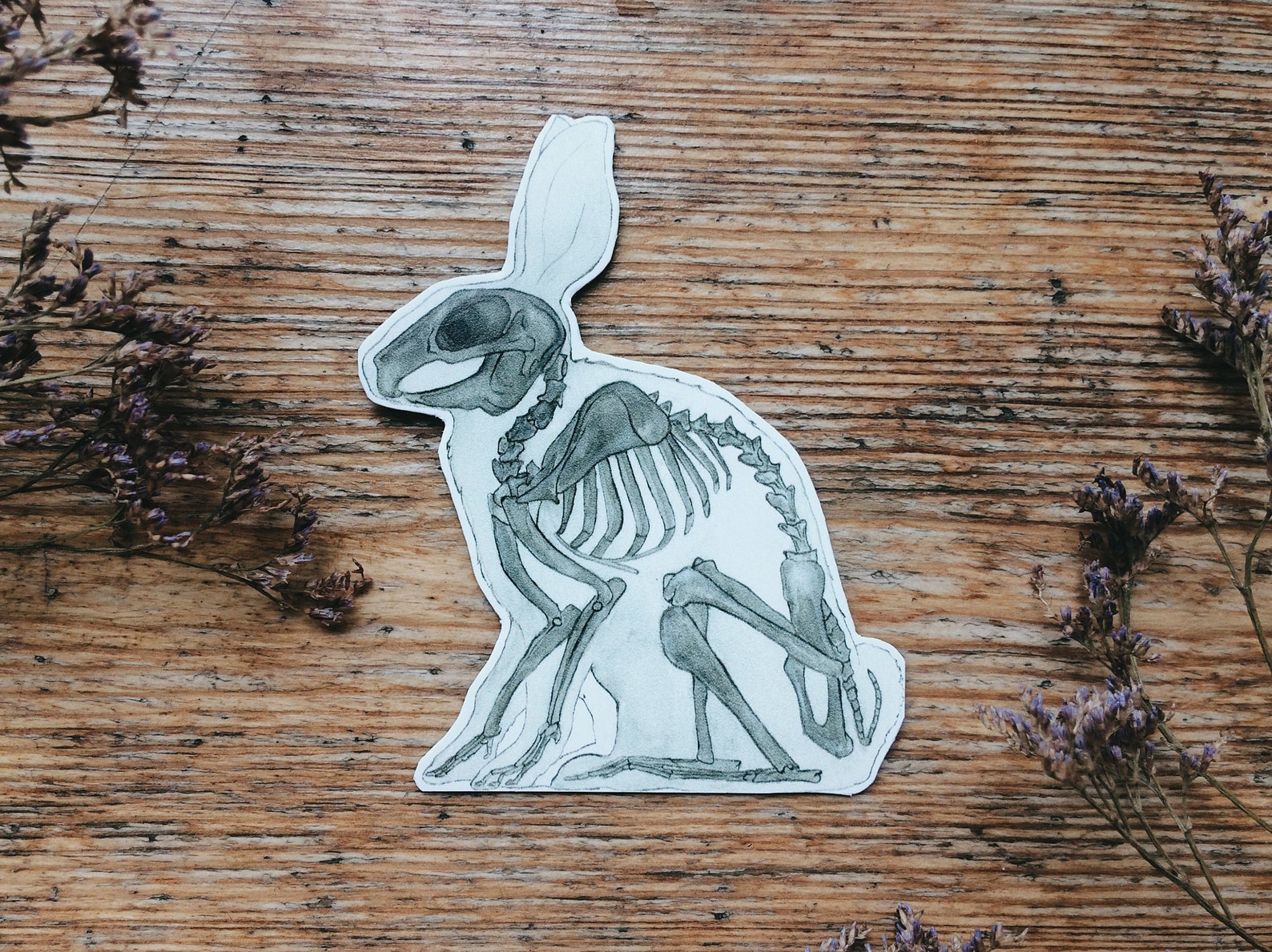 Poseable Skeleton Refrigerator Magnets - Set Of Articulated 3D Printed Skull Magnets With Movable Joints, Halloween & Science Decor