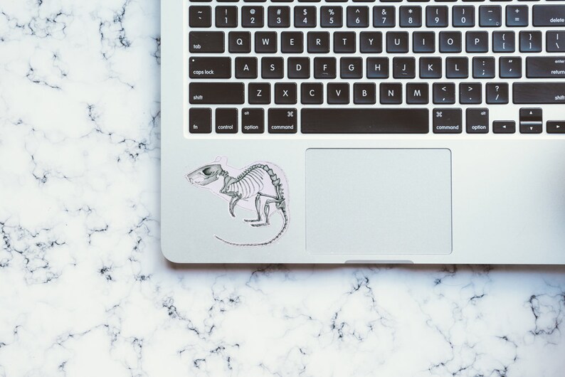 May include: A silver laptop computer with a black keyboard and a trackpad. A sticker of a rat skeleton is on the trackpad.