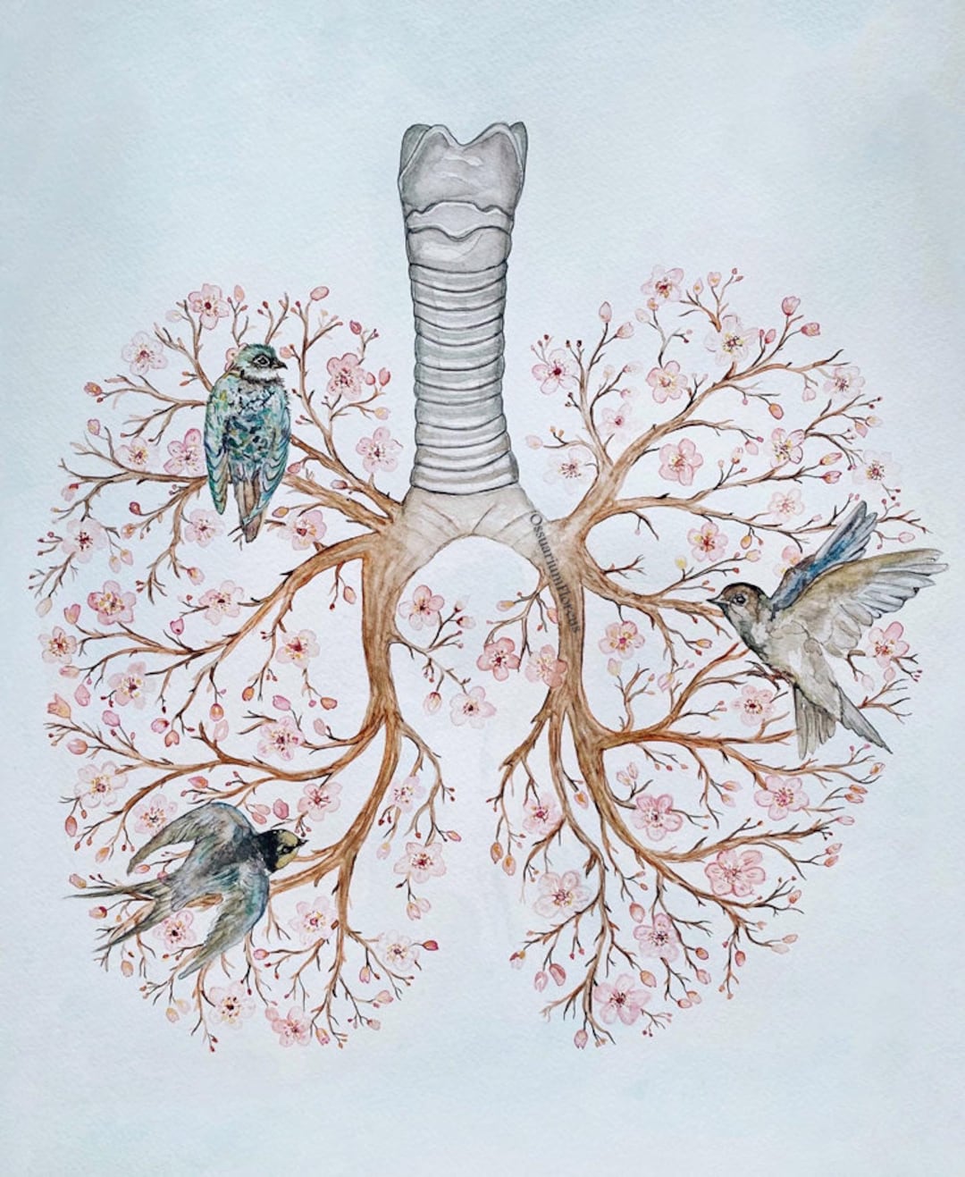 Floral Lungs Watercolor Painting Anatomy Art, Human Lungs in Spring