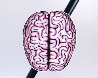 Menschliches Gehirn Kühlschrankmagnet: Anatomie Kunst, Anatomisches Geschenk, Gothic Magnet