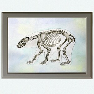 May include: A watercolor painting of a bear skeleton on a light blue background. The skeleton is in a walking position with its head turned to the left. The painting is framed in a gray frame.