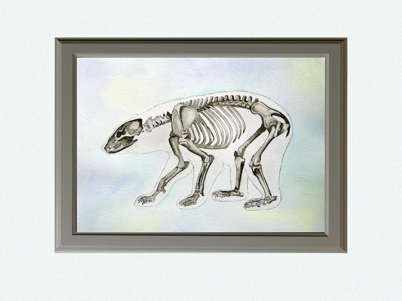 May include: A watercolor painting of a bear skeleton on a light blue background. The skeleton is in a walking position with its head turned to the left. The painting is framed in a gray frame.