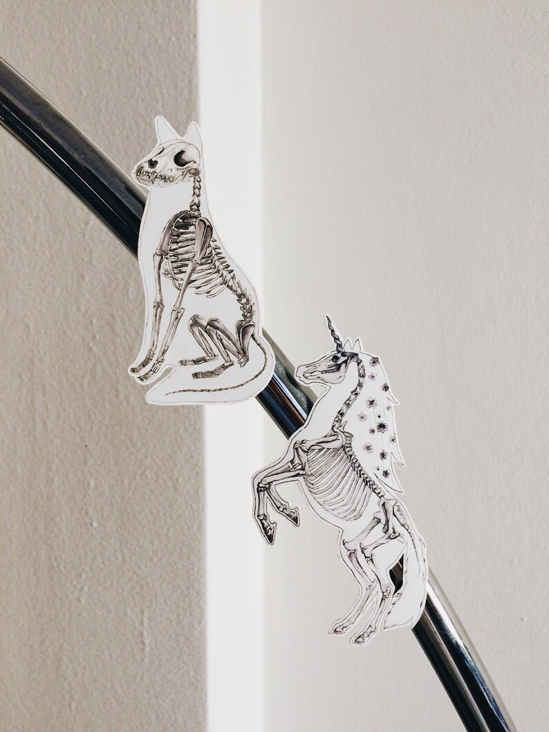 May include: Two skeletal animal figures, a dog and a unicorn, are attached to a silver metal rod. The dog is sitting and the unicorn is standing on its hind legs. Both figures are white with black outlines.