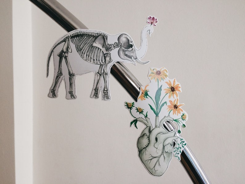 May include: A skeletal elephant with a flower on its head and a heart with flowers growing out of it. The heart and elephant are both white with black outlines. The flowers are yellow and green.