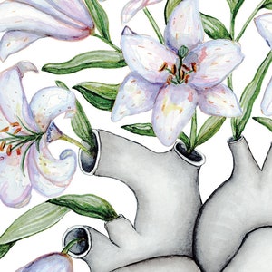 May include: A watercolor painting of a human heart with white lilies growing out of it. The lilies are white with pink and yellow accents. The heart is gray and has a realistic anatomical appearance.