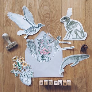 May include: A set of anatomical stickers featuring a bird, rabbit, whale, human skeleton, and a heart with flowers. The stickers are arranged on a wooden surface with a stamp that says "Par avion" and the word "sticker" spelled out with wooden blocks.