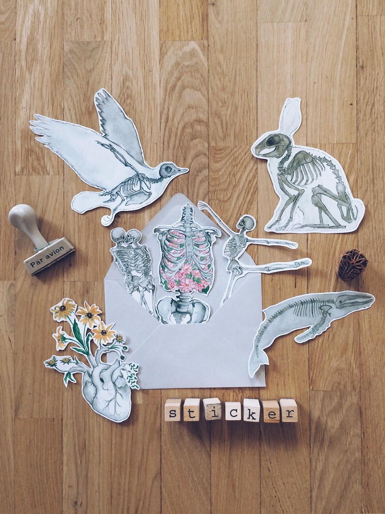 May include: A set of anatomical stickers featuring a bird, rabbit, whale, human skeleton, and a heart with flowers. The stickers are arranged on a wooden surface with a stamp that says "Par avion" and the word "sticker" spelled out with wooden blocks.