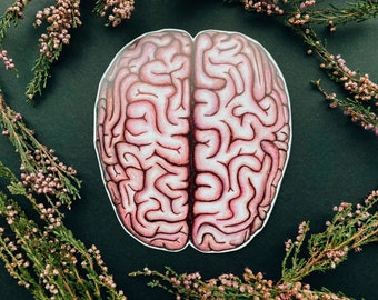 May include: A detailed illustration of a human brain, drawn in pink and red on a black background. The brain is surrounded by sprigs of pink heather.