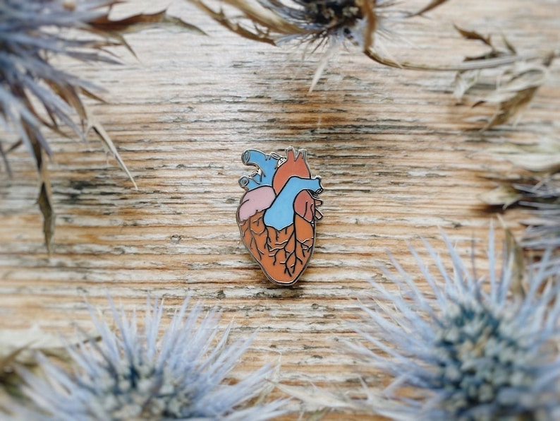 May include: A detailed anatomical heart enamel pin with a blue and red color scheme. The pin is on a wooden surface with dried flowers.