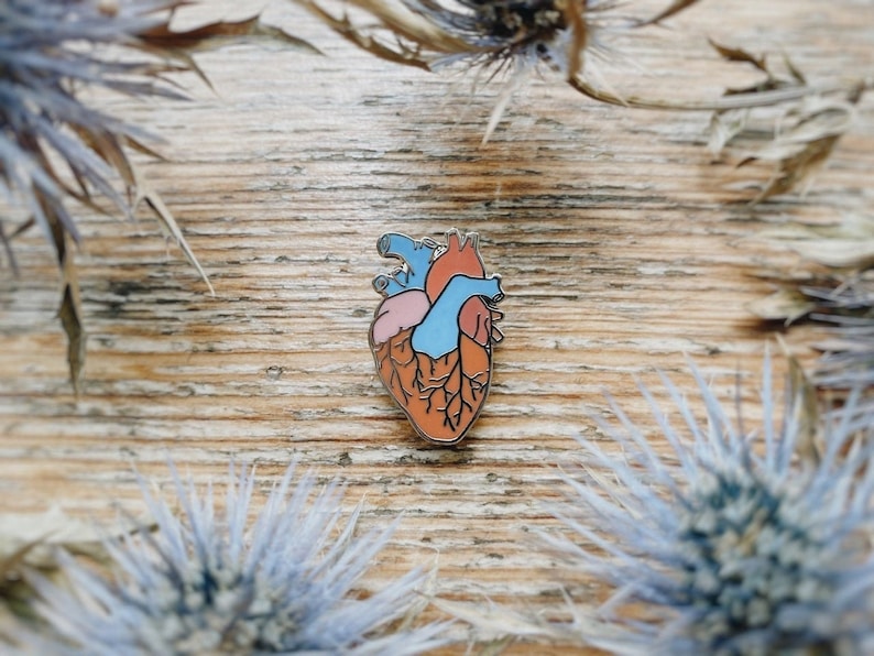 Anatomical Human Heart Pin: Colorful Hard Enamel, Pin for Doctor Nurse, Hospital Cardiology Anatomy Valentines Day image 1