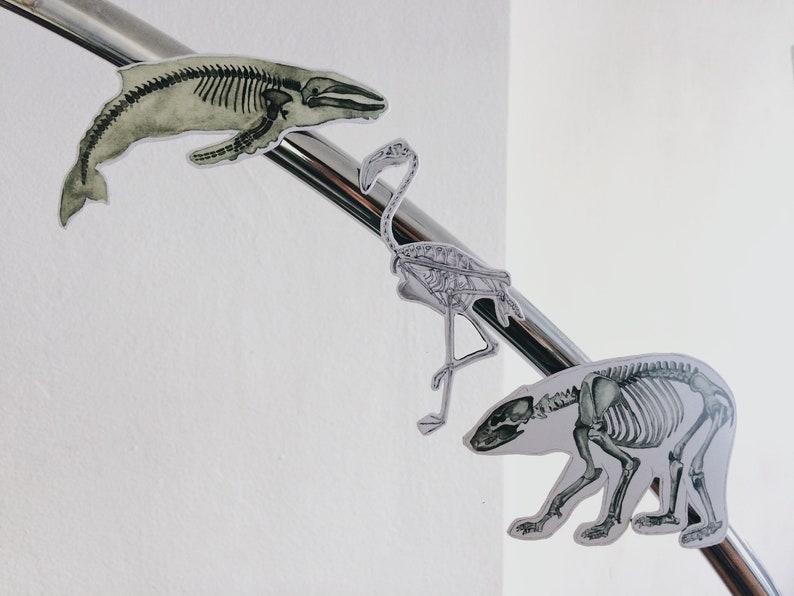May include: Three skeletal animal illustrations are displayed on a silver metal bar. The illustrations are of a whale, a flamingo, and a bear. The whale is green and white, the flamingo is white, and the bear is white.