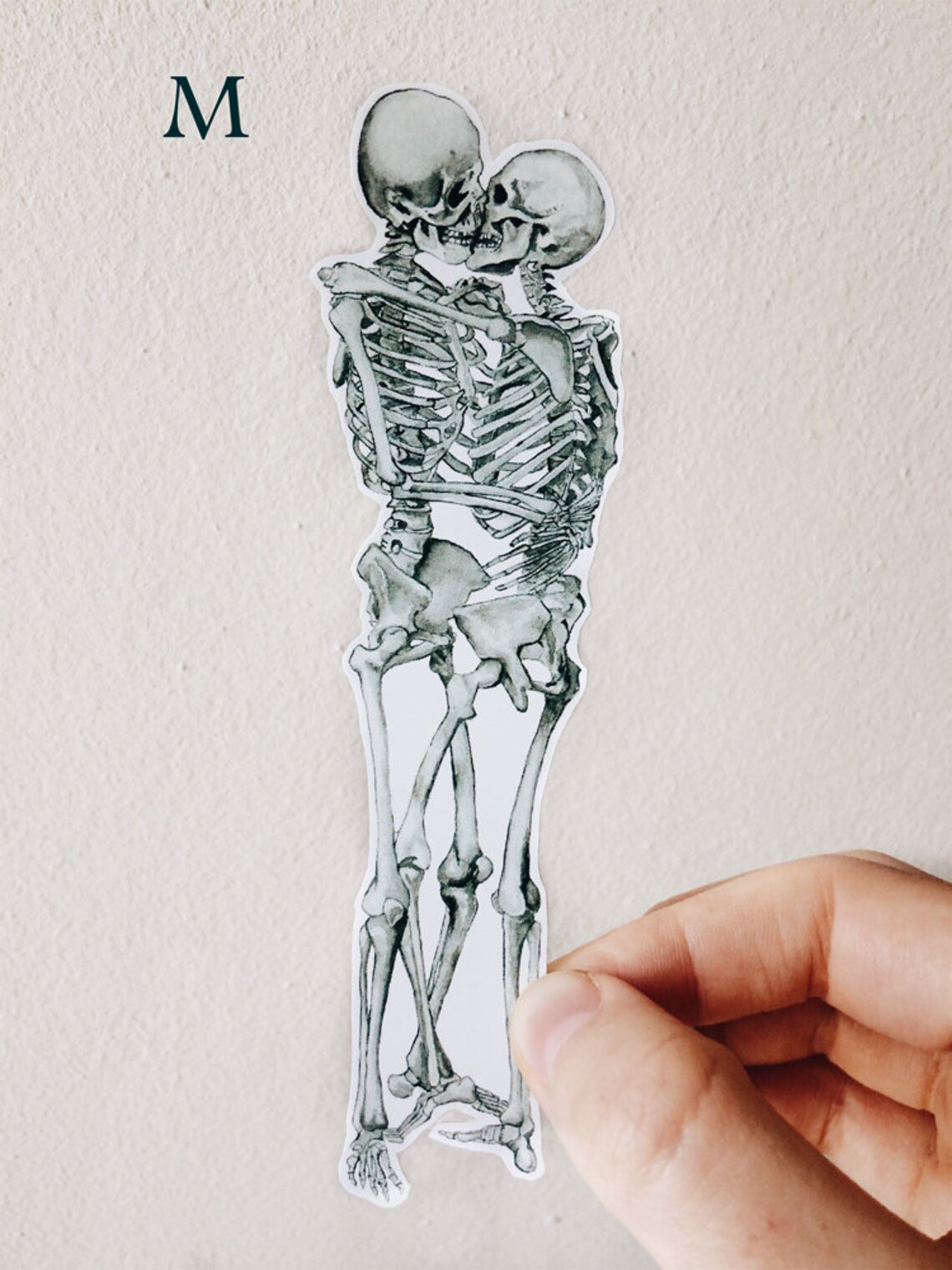 Human Figure Sticker Human Anatomy Sticker Set: Pack of 10 Stickers + FREE GIFT - Etsy
