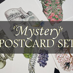 Mystery Anatomy Postcard Set: Anatomical Magic Grab Box, Surprise Human Skeleton Bundle, Floral Watercolor Unique Valentines Day Gift image 1