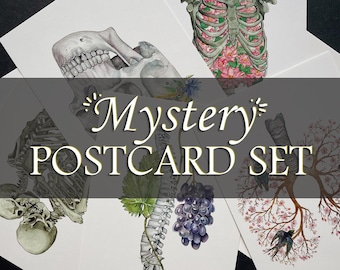 Mystery Anatomy Postcard Set: Anatomical Magic Grab Box, Surprise Human Skeleton Bundle, Floral Watercolor Unique Valentines Day Gift